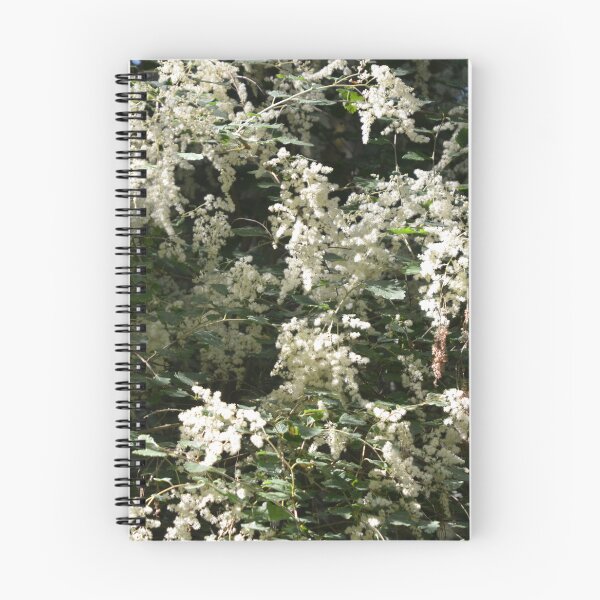 Item preview, Creamy Oceanspray Shrub in Full Bloom designed and sold by MiraNadaPrints.