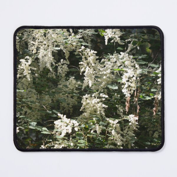 Item preview, Creamy Oceanspray Shrub in Full Bloom designed and sold by MiraNadaPrints.