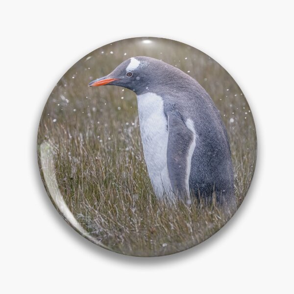 Item preview, A Gentoo Penguin OutStanding in His Field designed and sold by PhotoArt by Joan Carroll.