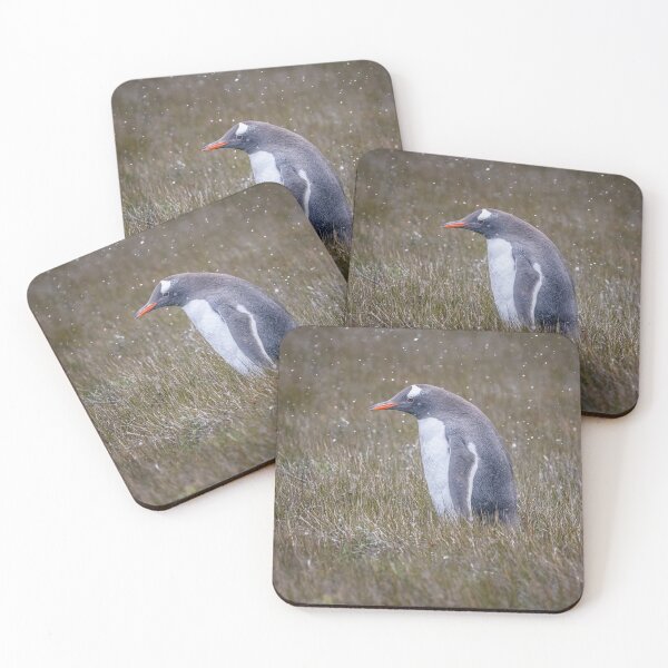 Item preview, A Gentoo Penguin OutStanding in His Field designed and sold by PhotoArt by Joan Carroll.
