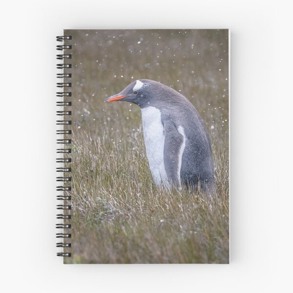 Item preview, A Gentoo Penguin OutStanding in His Field designed and sold by PhotoArt by Joan Carroll.
