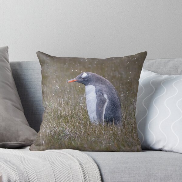 Item preview, A Gentoo Penguin OutStanding in His Field designed and sold by PhotoArt by Joan Carroll.