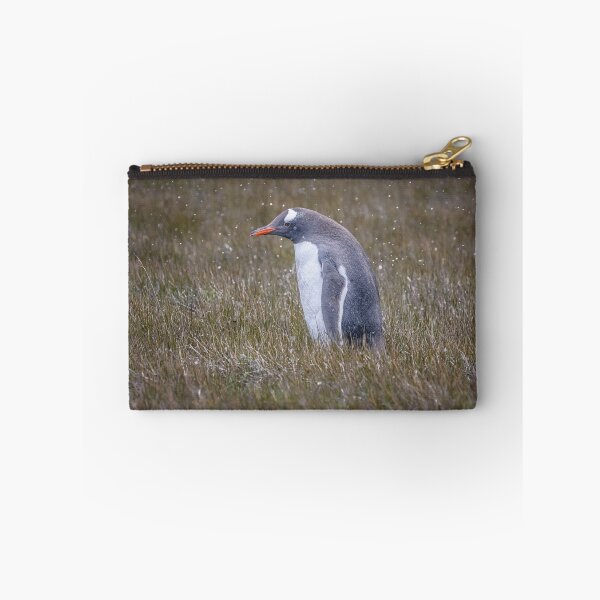 Item preview, A Gentoo Penguin OutStanding in His Field designed and sold by PhotoArt by Joan Carroll.