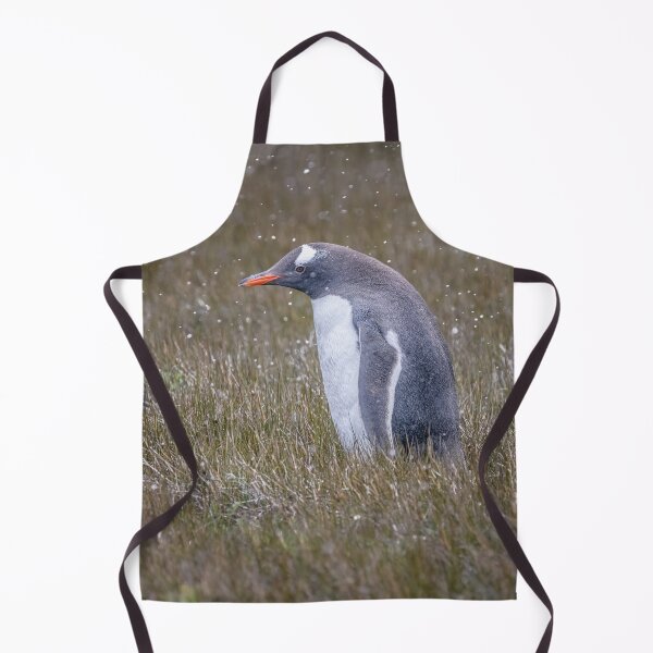 Item preview, A Gentoo Penguin OutStanding in His Field designed and sold by PhotoArt by Joan Carroll.