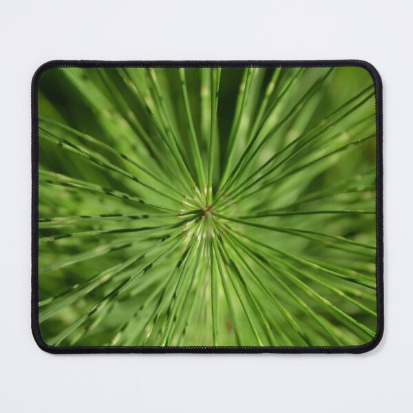 Item preview, Top Down Macro of Horsetail Whorls designed and sold by MiraNadaPrints.