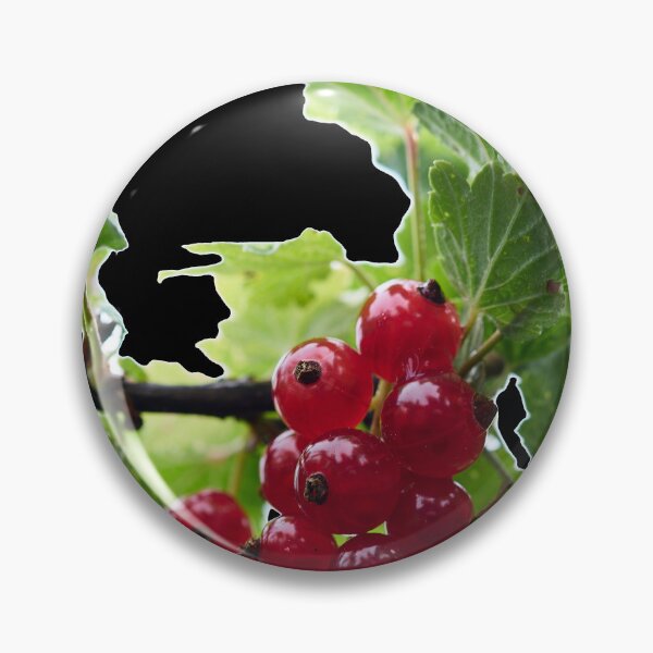 Item preview, Skyhigh. Redcurrant. transparent designed and sold by Jouko Lehto Photography.