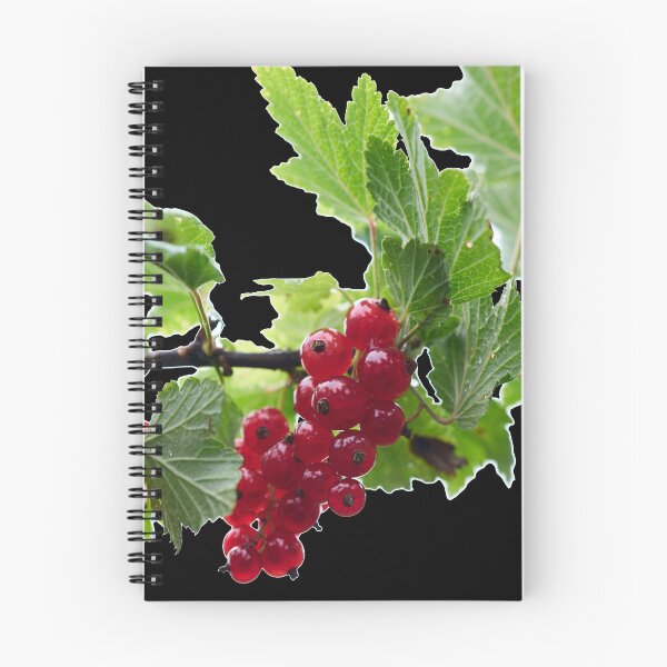 Item preview, Skyhigh. Redcurrant. transparent designed and sold by Jouko Lehto Photography.