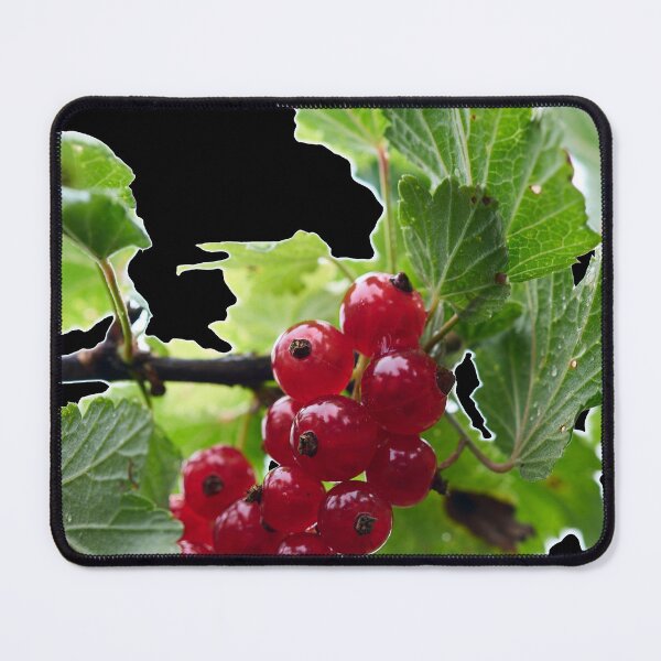 Item preview, Skyhigh. Redcurrant. transparent designed and sold by Jouko Lehto Photography.