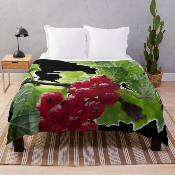 Item preview, Skyhigh. Redcurrant. transparent designed and sold by Jouko Lehto Photography.