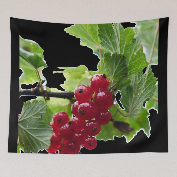Item preview, Skyhigh. Redcurrant. transparent designed and sold by Jouko Lehto Photography.
