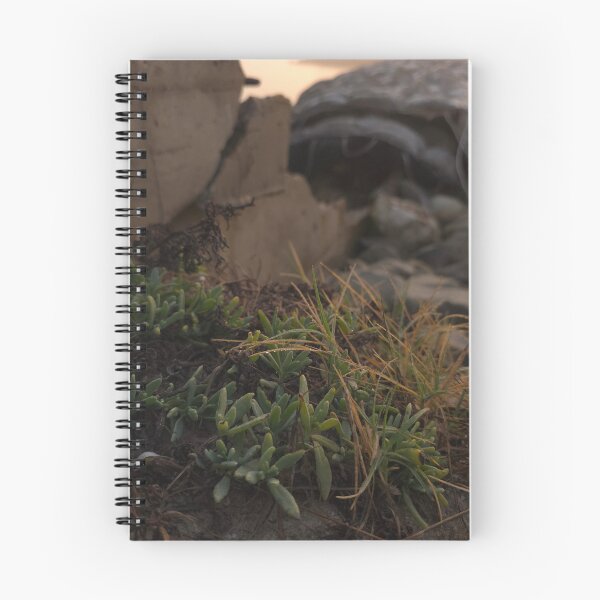 Item preview, Succulents on the Rocks designed and sold by CoastalPetal.