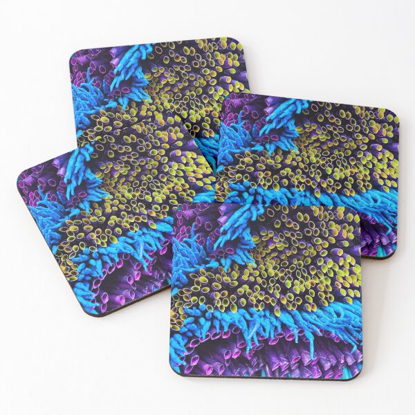 Item preview, Part of the Whole IX designed and sold by Eidetic Photos.