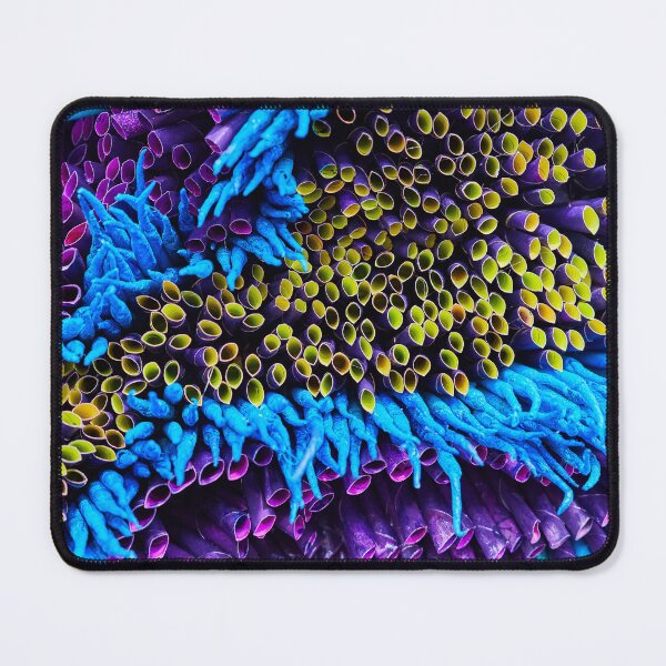 Item preview, Part of the Whole IX designed and sold by Eidetic Photos.