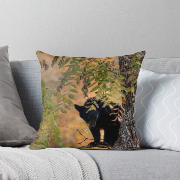 Item preview, Who Are You Looking At Bear From Cades Cove designed and sold by CarolRMontoya.
