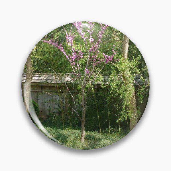 Artikelvorschau, Blühender Judasbaum in einer Frühlingslandschaft entworfen und verkauft von KaleChub.