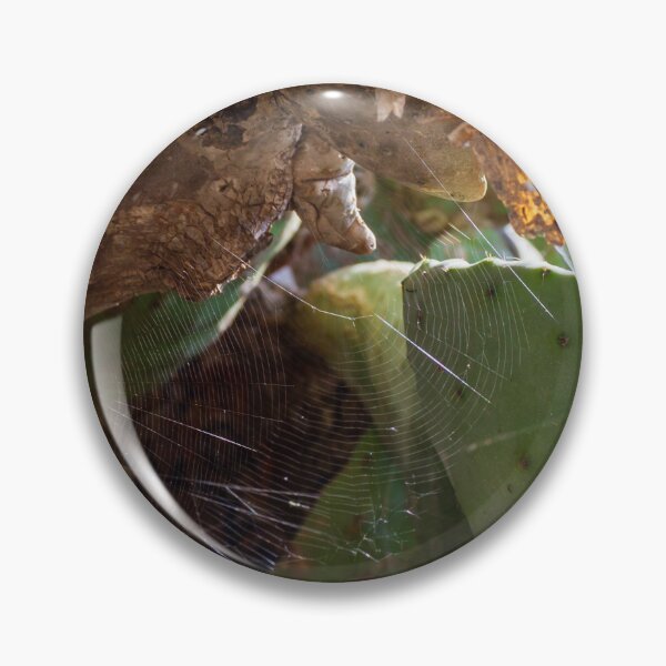 Item preview, Spider Web on Prickly Pear Cactus Pad Under Sunlit Desert Tree Branch — Close Up Nature Detail designed and sold by Nmallia.