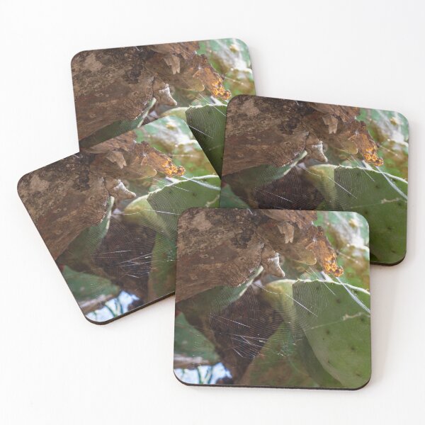 Item preview, Spider Web on Prickly Pear Cactus Pad Under Sunlit Desert Tree Branch — Close Up Nature Detail designed and sold by Nmallia.