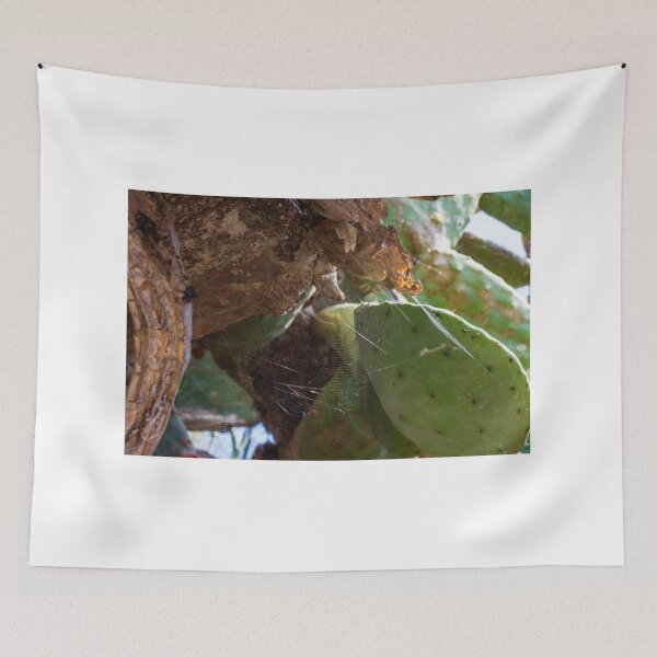 Item preview, Spider Web on Prickly Pear Cactus Pad Under Sunlit Desert Tree Branch — Close Up Nature Detail designed and sold by Nmallia.