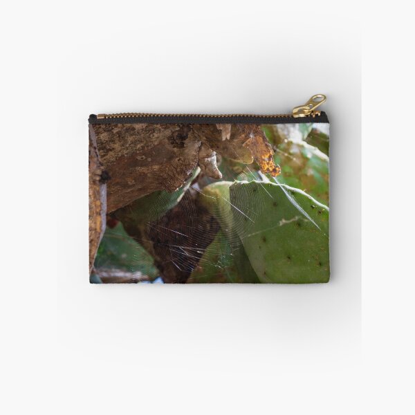 Item preview, Spider Web on Prickly Pear Cactus Pad Under Sunlit Desert Tree Branch — Close Up Nature Detail designed and sold by Nmallia.