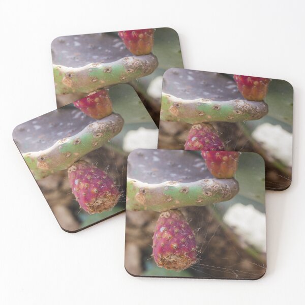 Item preview, Close-Up of Prickly Pear Cactus Fruit and Pads With Spiderwebs in Dry Garden designed and sold by Nmallia.