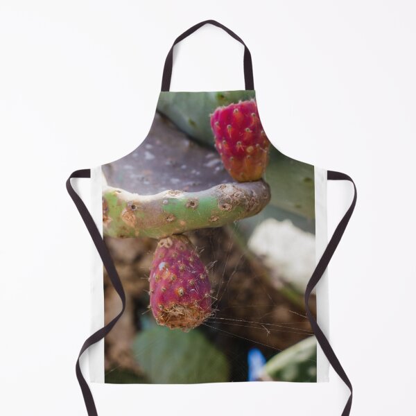 Item preview, Close-Up of Prickly Pear Cactus Fruit and Pads With Spiderwebs in Dry Garden designed and sold by Nmallia.