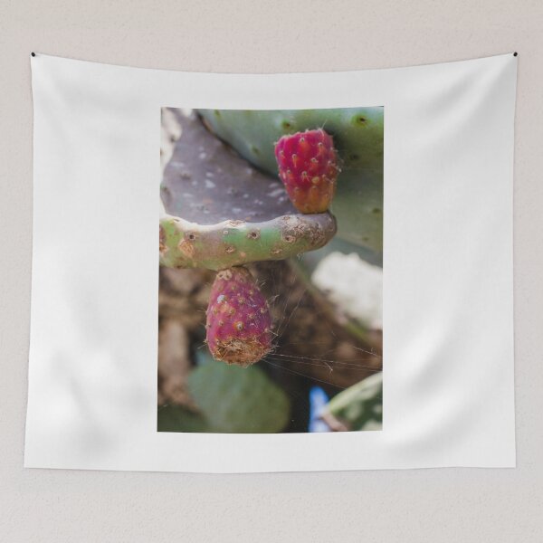 Item preview, Close-Up of Prickly Pear Cactus Fruit and Pads With Spiderwebs in Dry Garden designed and sold by Nmallia.