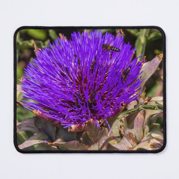 Item preview, Close-Up Purple Artichoke Blossom With Bees Pollinating a Vibrant Thistle-Like Flower In Garden Macro designed and sold by Nmallia.