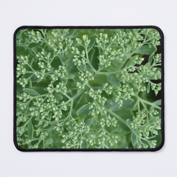 Item preview, Green Sedum Flower Buds Top View designed and sold by MiraNadaPrints.