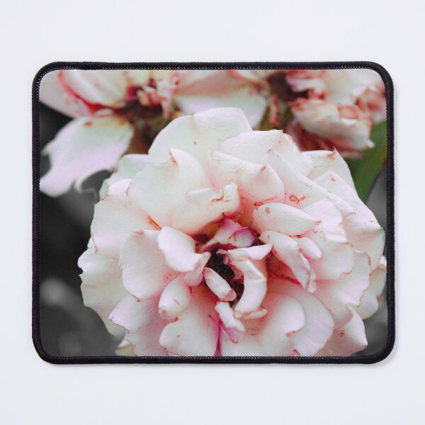 Item preview, polyantha rose designed and sold by KiwisKafe.