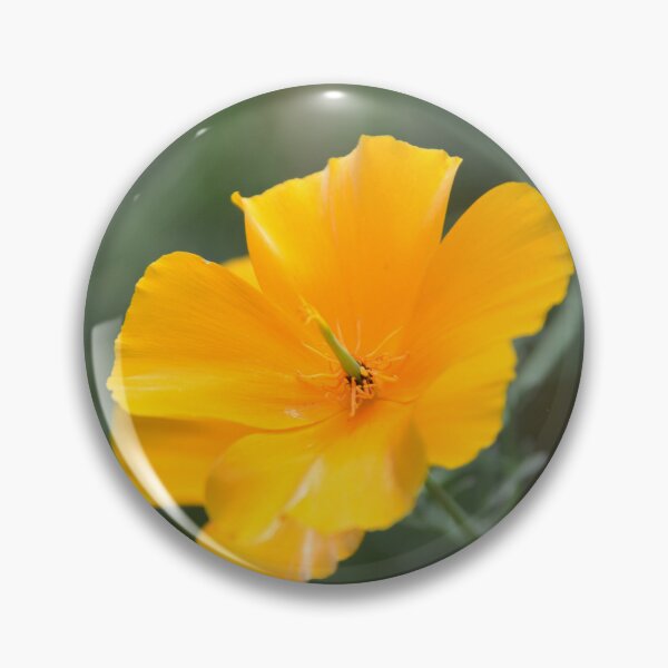 Item preview, Bright Golden California Poppy Flower Macro designed and sold by MiraNadaPrints.