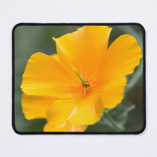 Item preview, Bright Golden California Poppy Flower Macro designed and sold by MiraNadaPrints.