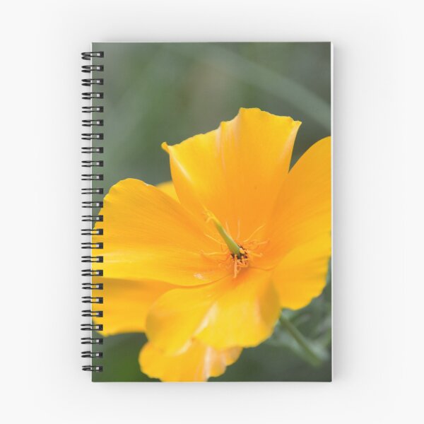 Item preview, Bright Golden California Poppy Flower Macro designed and sold by MiraNadaPrints.