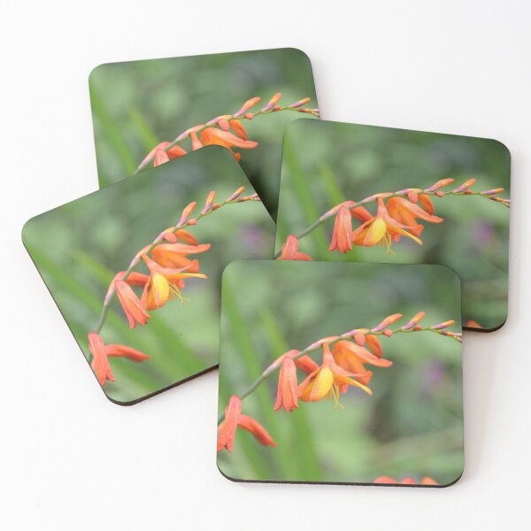 Item preview, Arching Orange Crocosmia Flowers on Stem designed and sold by MiraNadaPrints.