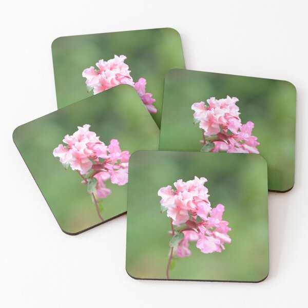 Item preview, Cluster of Bright Pink Catchfly Blossoms designed and sold by MiraNadaPrints.