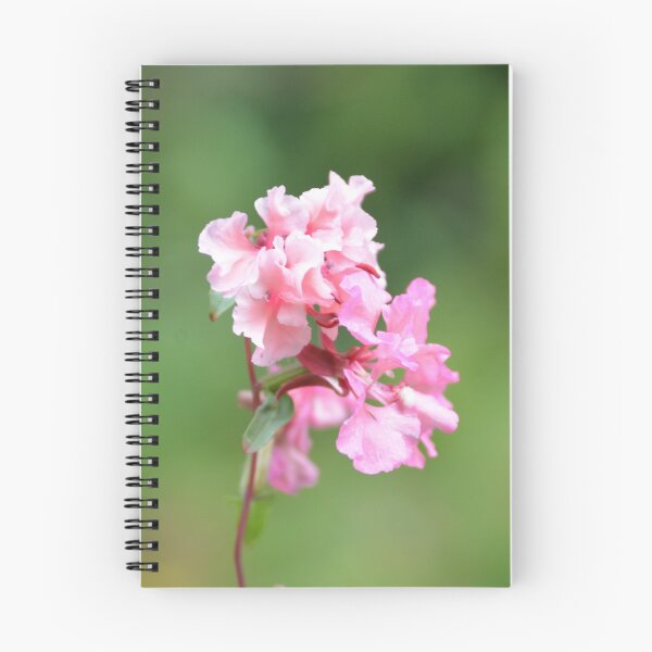 Item preview, Cluster of Bright Pink Catchfly Blossoms designed and sold by MiraNadaPrints.