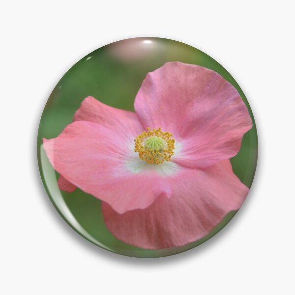 Item preview, Delicate Pink Poppy Floating in Meadow designed and sold by MiraNadaPrints.