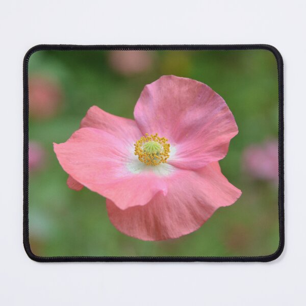 Item preview, Delicate Pink Poppy Floating in Meadow designed and sold by MiraNadaPrints.