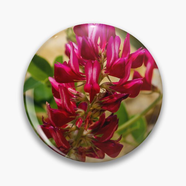 Item preview, Red Wildflower Blooming Among Rocks With Green Leaves In A Sunny Natural Setting designed and sold by Nmallia.
