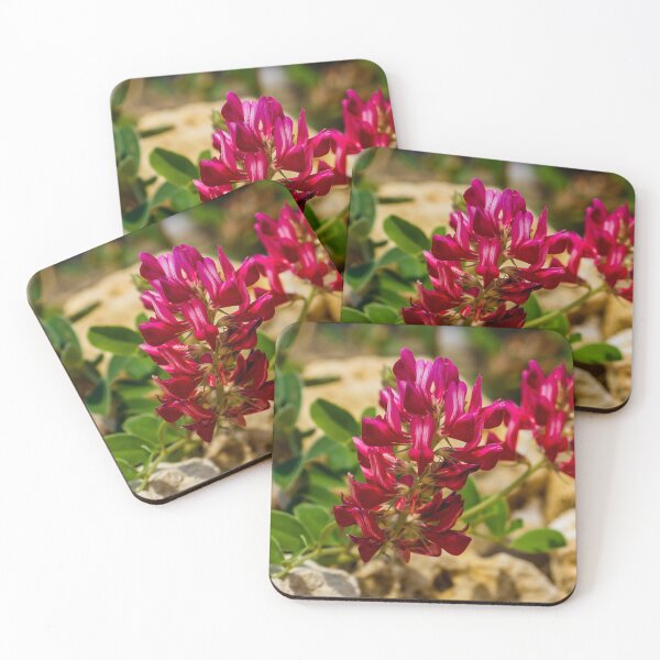 Item preview, Red Wildflower Blooming Among Rocks With Green Leaves In A Sunny Natural Setting designed and sold by Nmallia.