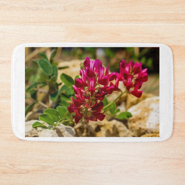 Item preview, Red Wildflower Blooming Among Rocks With Green Leaves In A Sunny Natural Setting designed and sold by Nmallia.