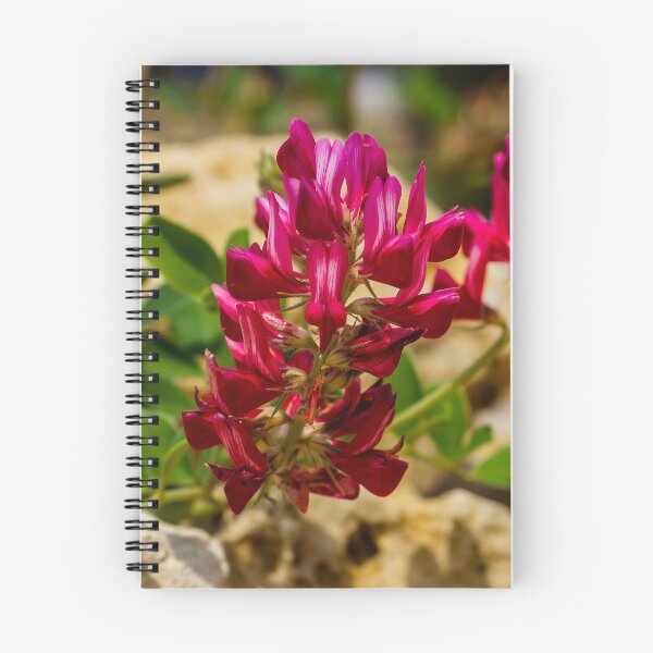 Item preview, Red Wildflower Blooming Among Rocks With Green Leaves In A Sunny Natural Setting designed and sold by Nmallia.