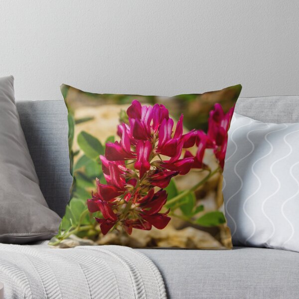 Item preview, Red Wildflower Blooming Among Rocks With Green Leaves In A Sunny Natural Setting designed and sold by Nmallia.