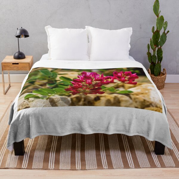Item preview, Red Wildflower Blooming Among Rocks With Green Leaves In A Sunny Natural Setting designed and sold by Nmallia.