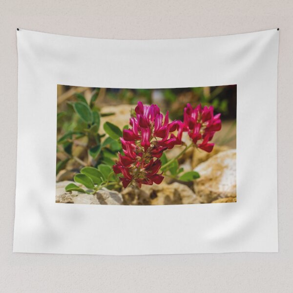 Item preview, Red Wildflower Blooming Among Rocks With Green Leaves In A Sunny Natural Setting designed and sold by Nmallia.