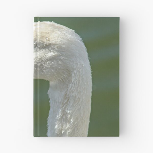 Item preview, Portrait of the Mute Swan designed and sold by Tom McPherson Photography.