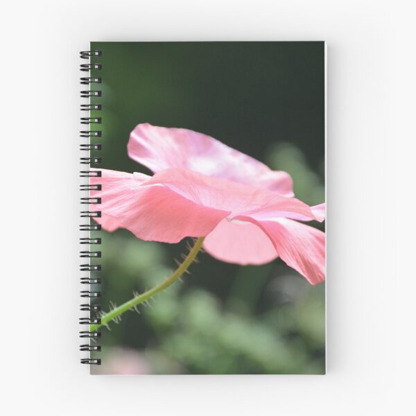 Item preview, Pink Poppy Flower Profile on Thorny Stem designed and sold by MiraNadaPrints.