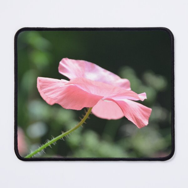 Item preview, Pink Poppy Flower Profile on Thorny Stem designed and sold by MiraNadaPrints.
