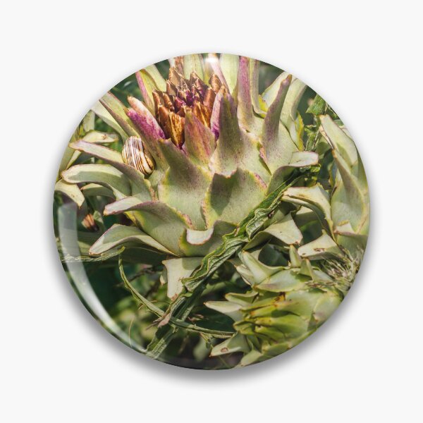 Item preview, Close-Up of Spiky Globe Artichoke Buds and Thistle-Like Plants in a Sunlit Garden designed and sold by Nmallia.