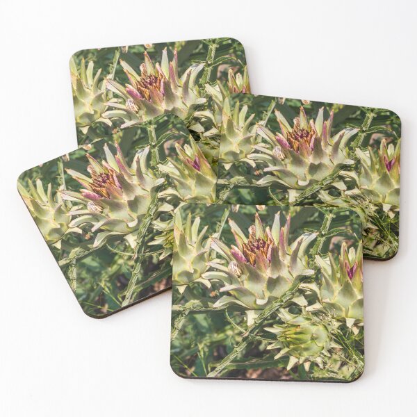 Item preview, Close-Up of Spiky Globe Artichoke Buds and Thistle-Like Plants in a Sunlit Garden designed and sold by Nmallia.
