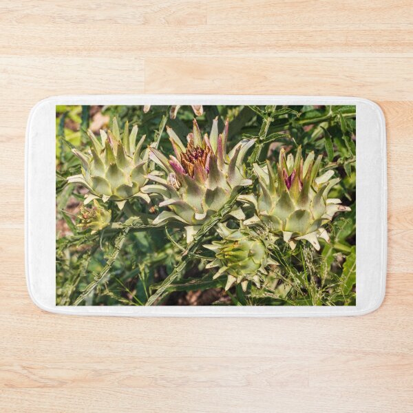 Item preview, Close-Up of Spiky Globe Artichoke Buds and Thistle-Like Plants in a Sunlit Garden designed and sold by Nmallia.